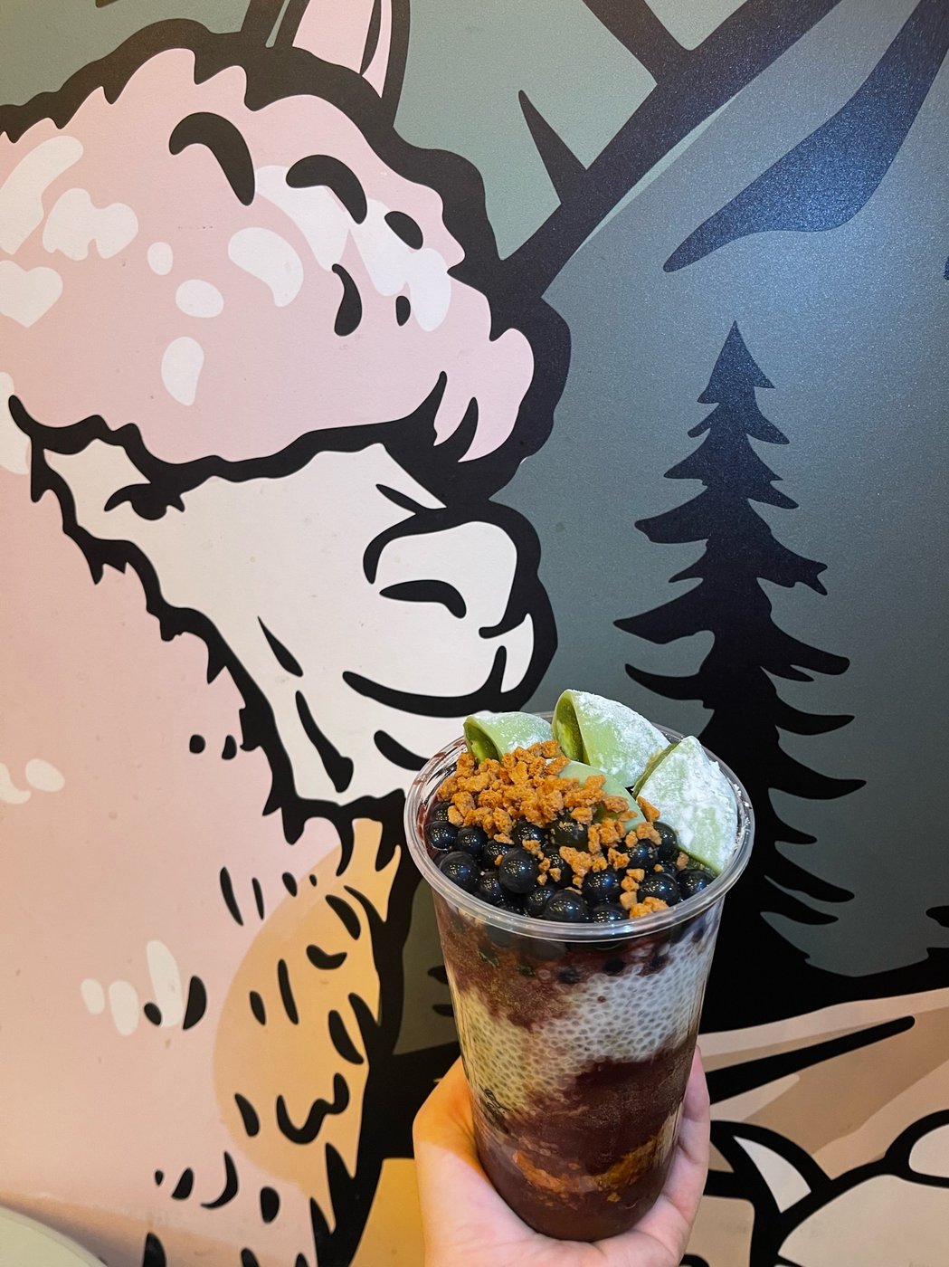 açaí bowl vor der alpaka-wand bei tea99 frankfurt